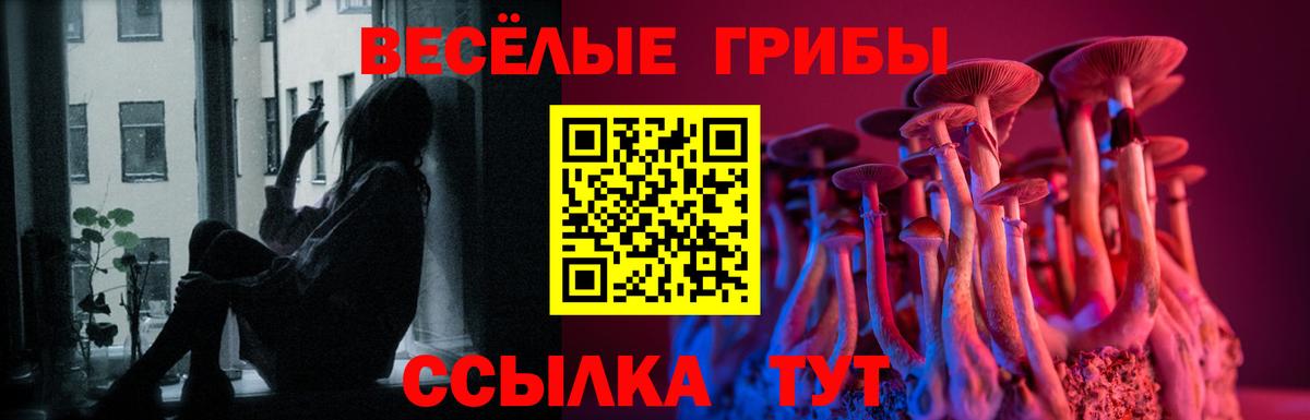 Галлюциногенные грибы мицелий Ангарск